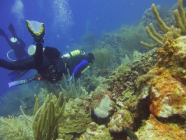 John and Shannon on the Reef IMG 7330